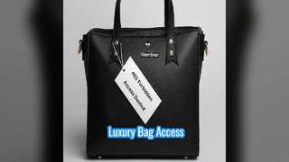 人気のルイ・ヴィトン バッグのスタイルとアクセス