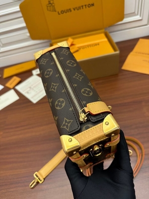 ブラウンのPresbyopicキャンバスのルイ・ヴィトンLVの側面のトランクのモノグラムPM袋のスーツケース