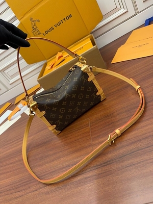 ブラウンのPresbyopicキャンバスのルイ・ヴィトンLVの側面のトランクのモノグラムPM袋のスーツケース